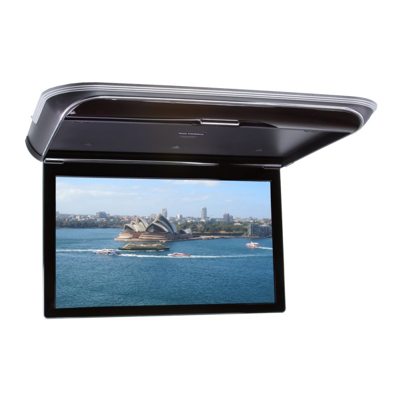 Stropní LCD monitor 17,3 s OS. Android USB/HDMI/IR/FM, dálkové ovládání se snímačem pohybu, černá (ds-173Acbl)